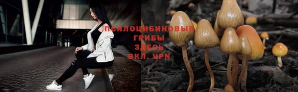альфа пвп Беломорск