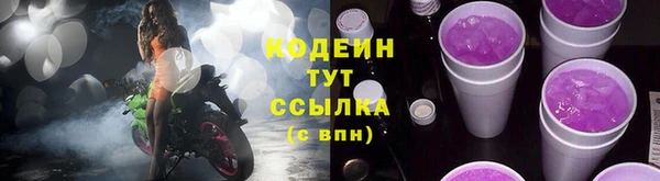 шишки Белоозёрский