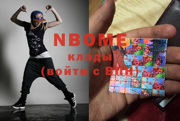шишки Белоозёрский