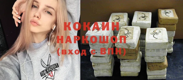 шишки Белоозёрский