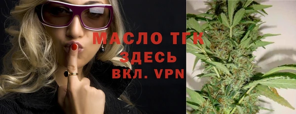 шишки Белоозёрский