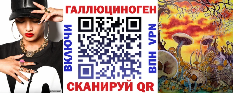 гидра маркетплейс  Богданович  Псилоцибиновые грибы Magic Shrooms 